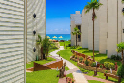 Oceanview Pathway to Paradise – Steps from Beach, Palms & Loungers