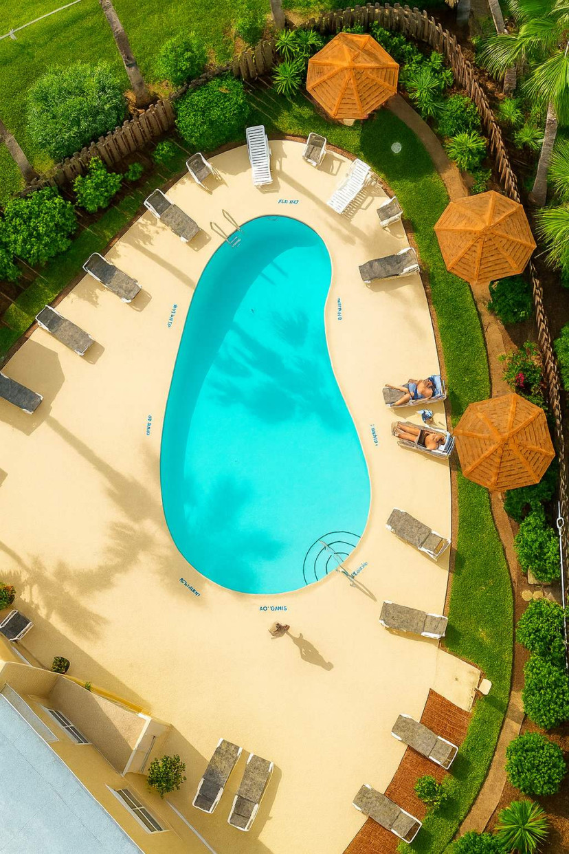 Tropical Paradise Poolside Retreat w/ Loungers & Palms. Dive into bliss at this stunning turquoise pool oasis surrounded by swaying palms, thatched umbrellas, and plush loungers. Perfect for sun-soaked relaxation amid lush tropical gardens.