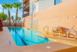 Palm-Framed Poolside Retreat with Sun Deck
Unwind by the sparkling pool in this serene tropical escape. Lounge under palm trees, soak up the sun, and enjoy a peaceful setting just steps from your suite.
