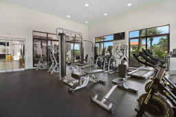 Gold coast guest have full use of Gold Coast amenities